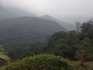 Grupo formado por 15 pessoas acaba se perdendo na    Serra do Mar, em SP