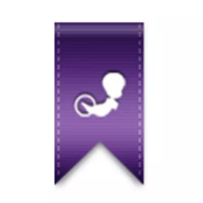 Cazper Studio