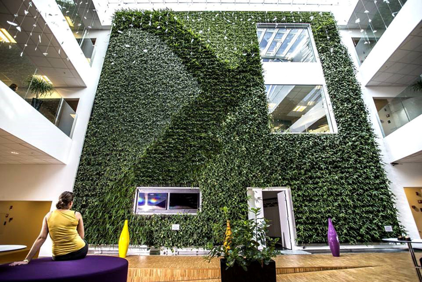 Żywe zielone ściany sprawiają, że twoja przestrzeń biurowa i marka są jeszcze bardziej ekologiczna.