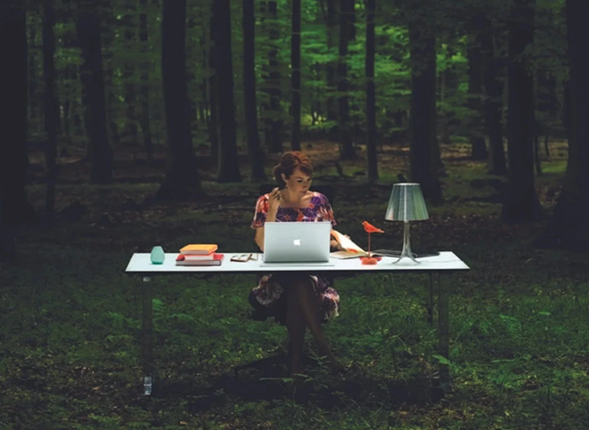 Move the office into nature - and nature into your office spaces