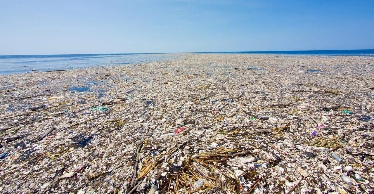 Great+Pacific+Garbage+Patch+High+Quality