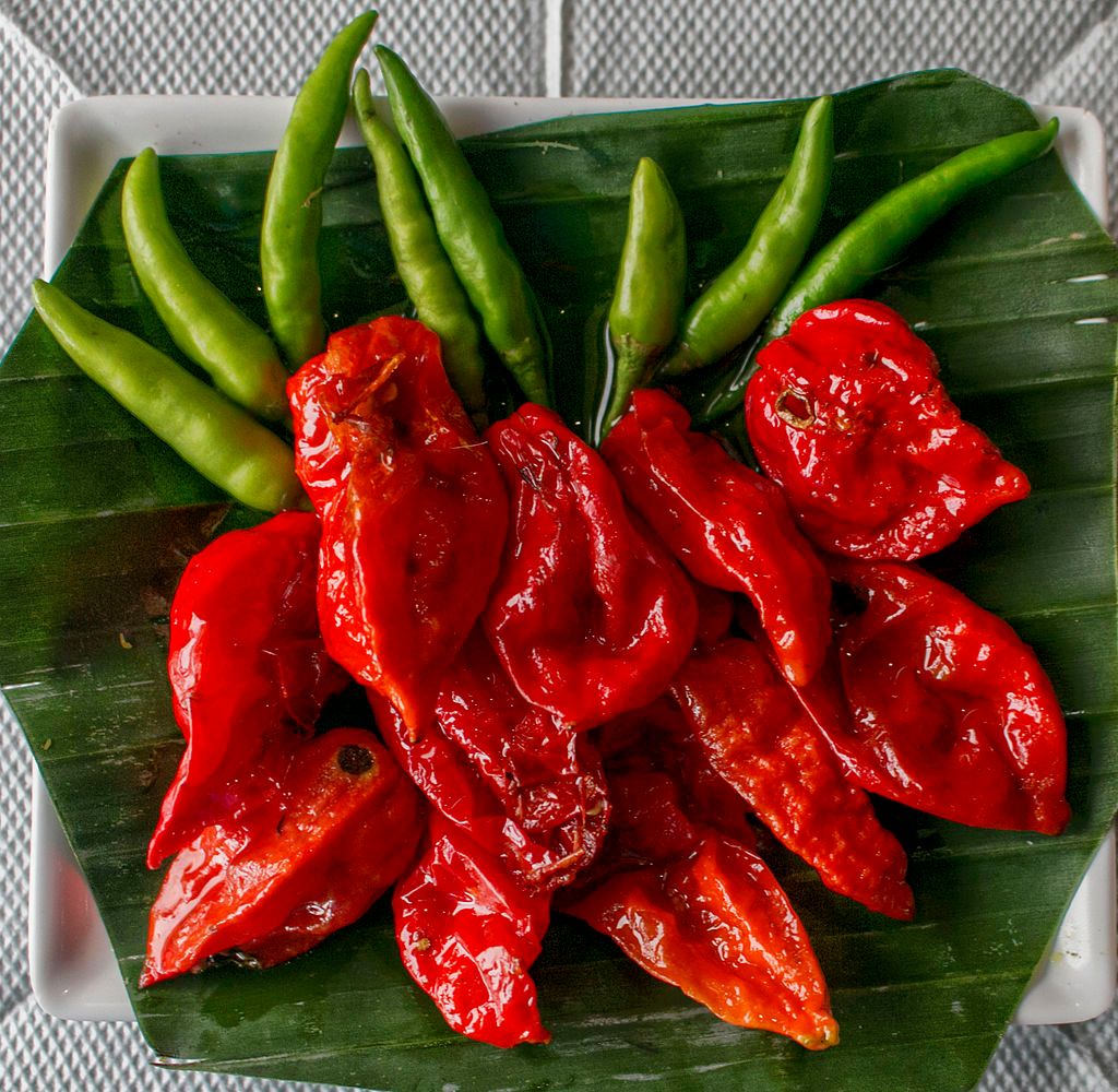 1024px-Bhoot_Jolokia_(_Ghost_Chili_pepper_).jpg