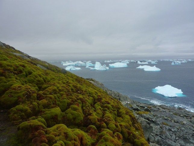 Antarctica.jpg