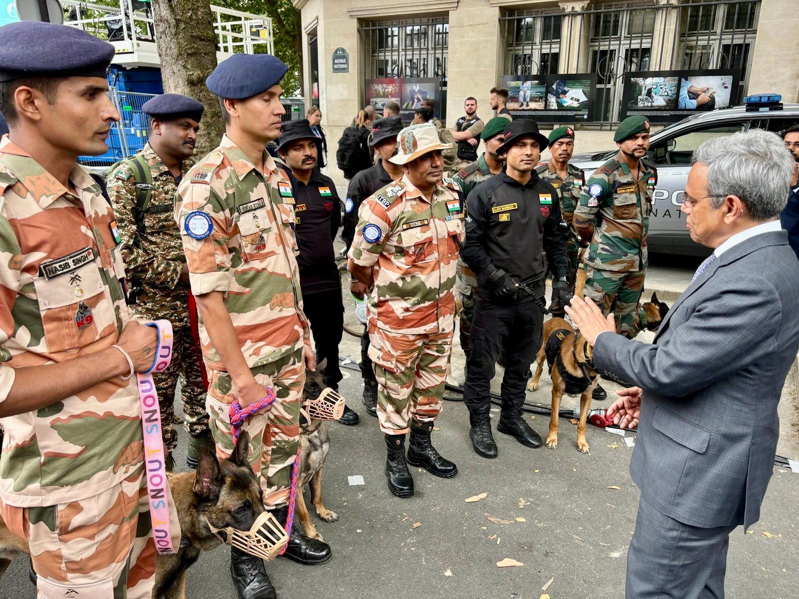 K9 2.jpg