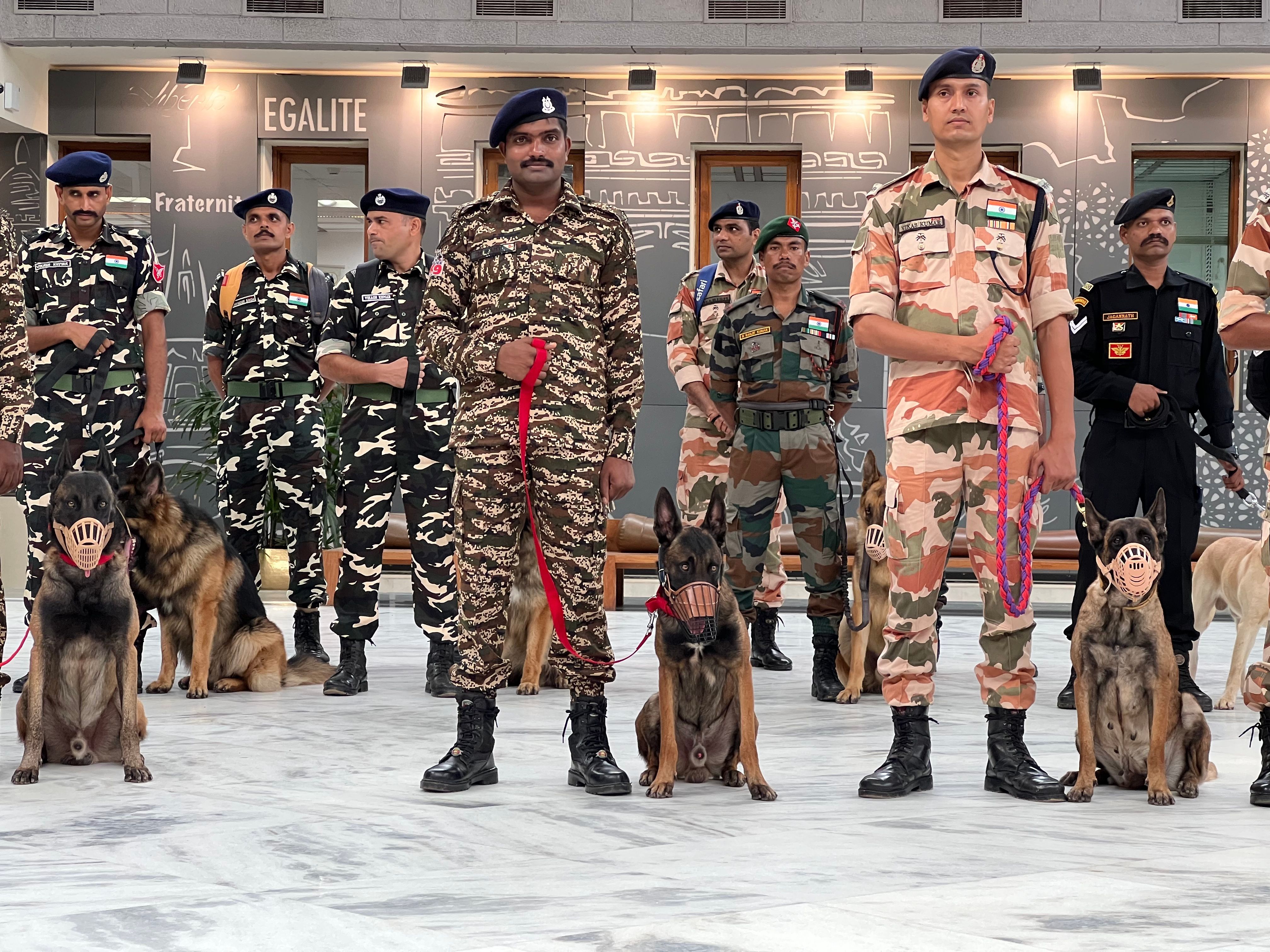 K9 3.jpg