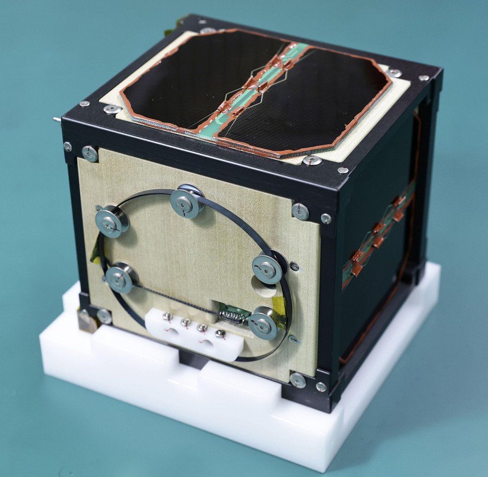 Lignosat 2.jpg