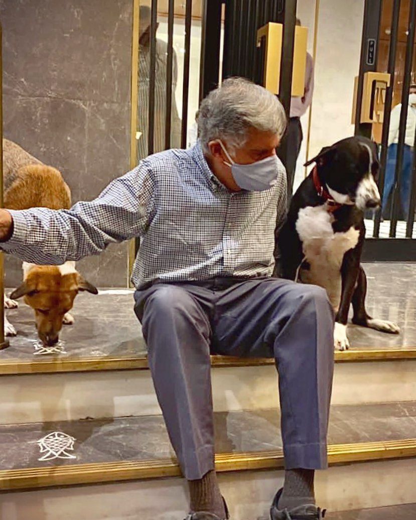 ratan tata 2.jpg