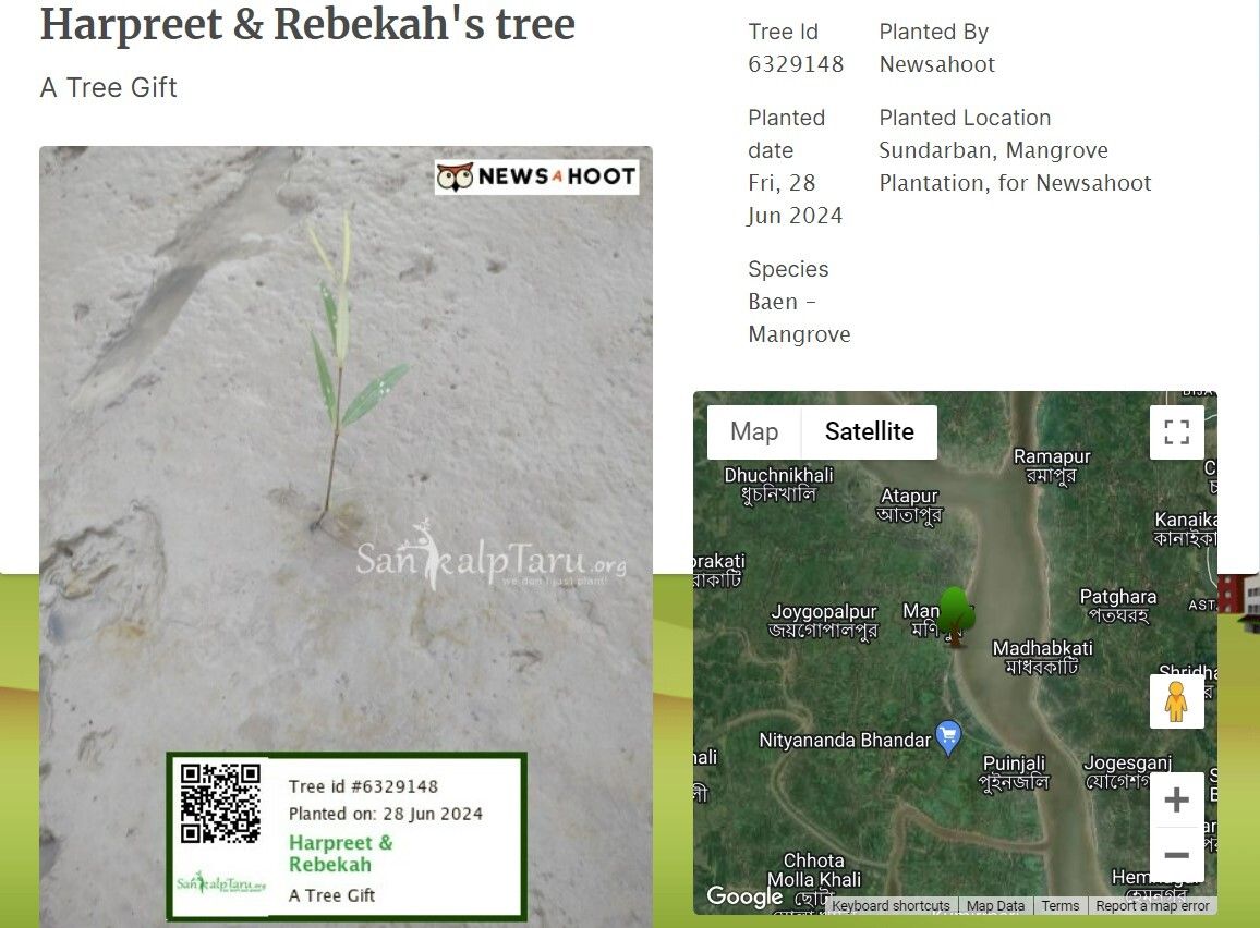 sankalptree.jpg