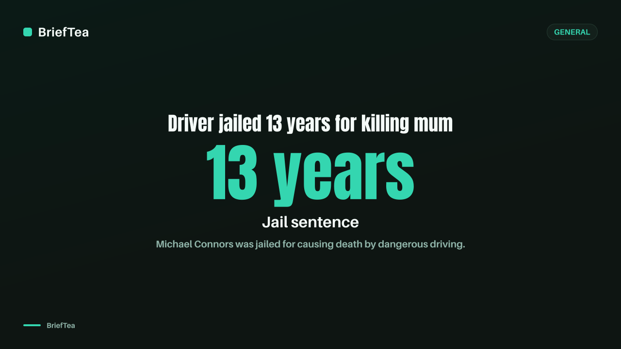 Driver jailed 13 years for killing mum fleeing police