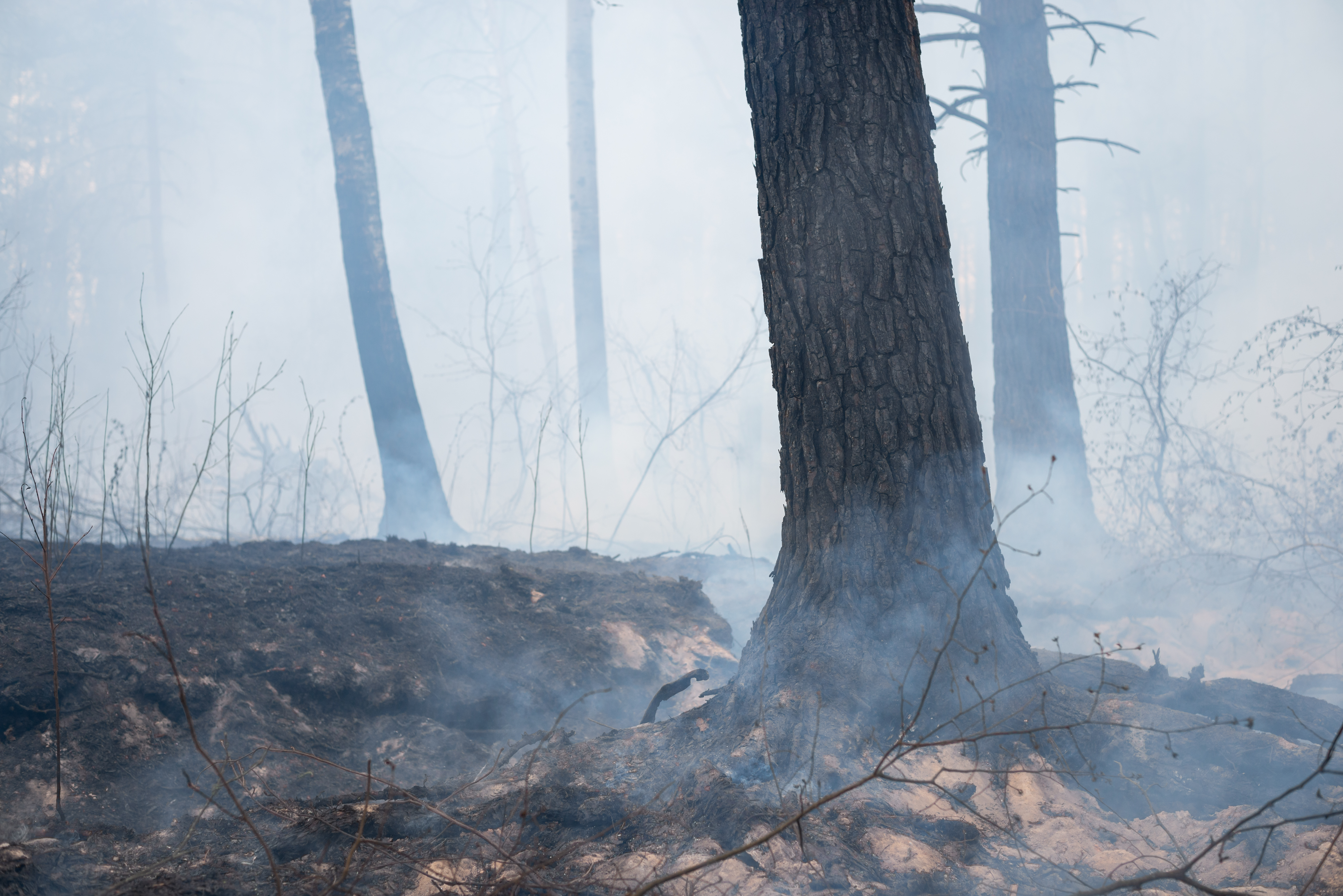 Suffolk wildfire spreads to 210 football pitches, nuclear plant on alert