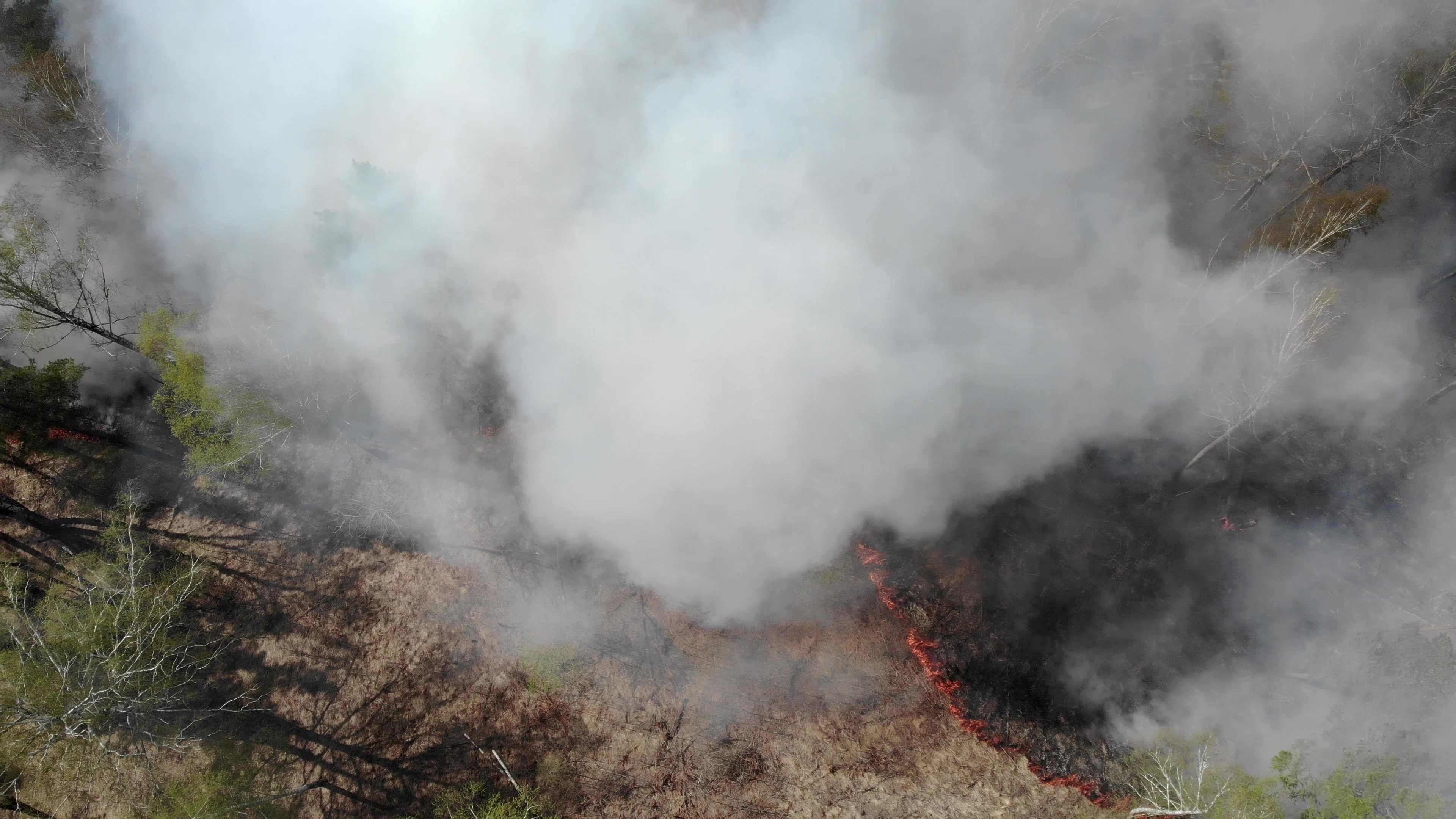 Suffolk heath fire forces evacuations, major incident declared