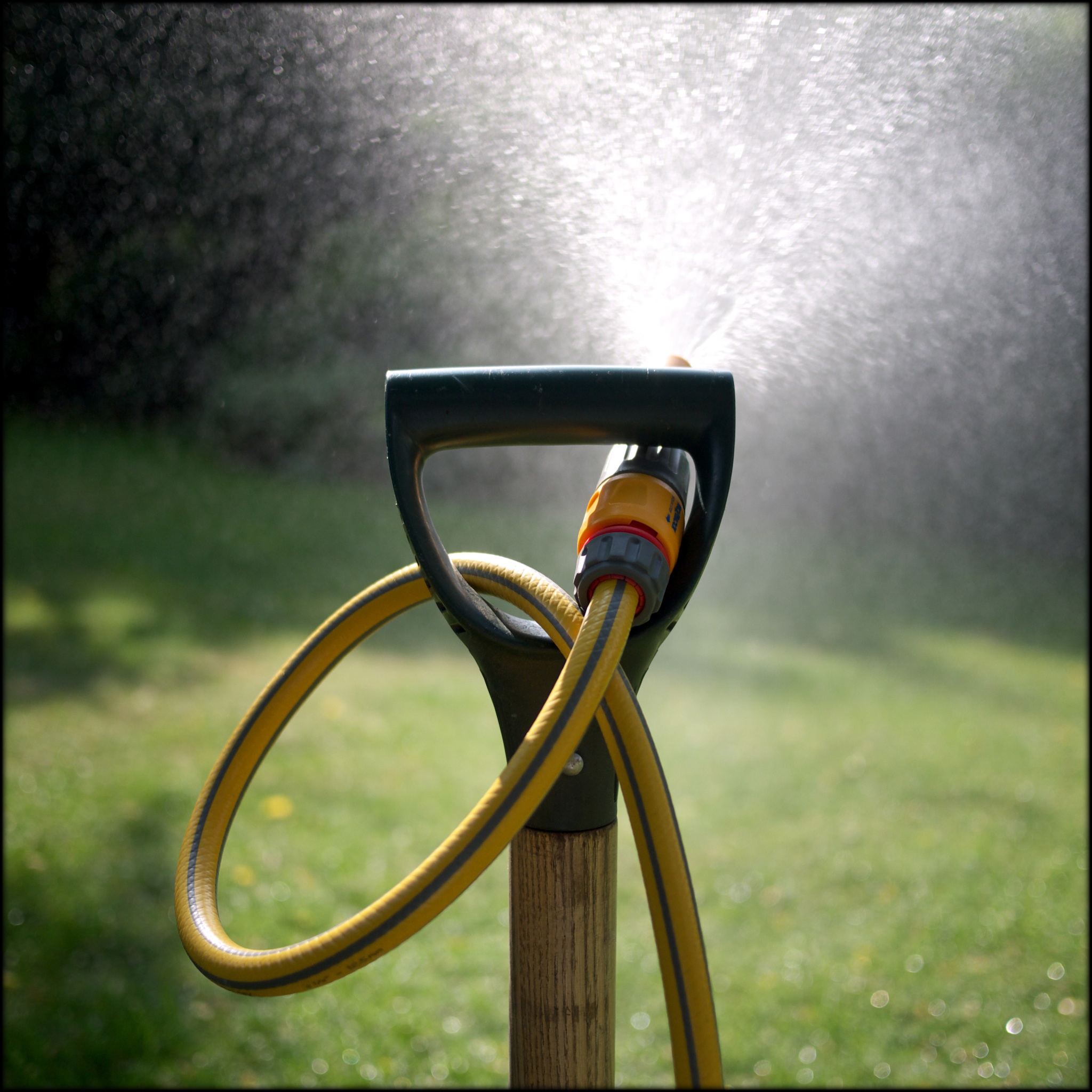 Welsh Water bans hosepipes for 33,000 west Wales homes from Sunday