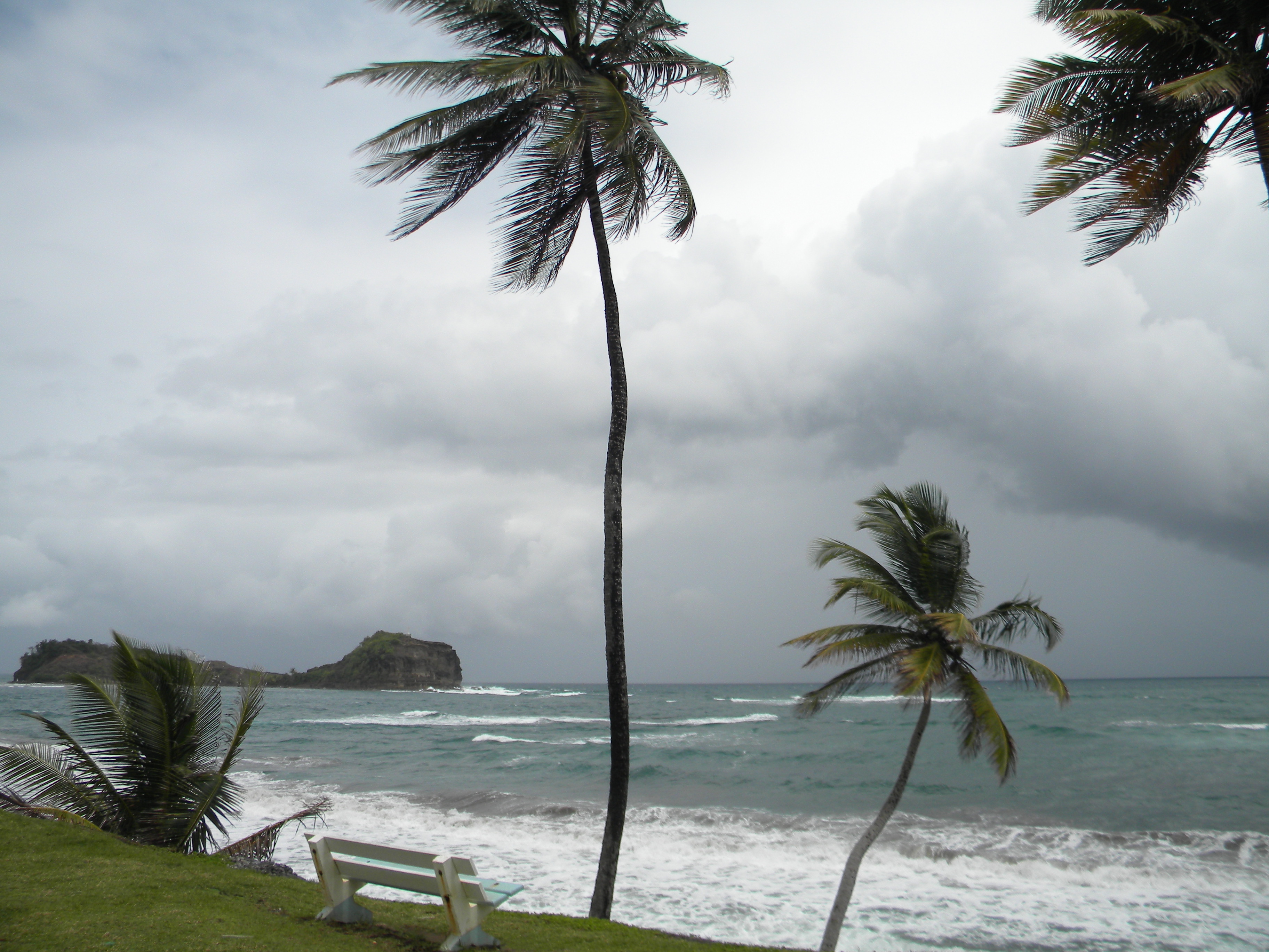One person dies as Hurricane Lala hits Hawaii's Big Island