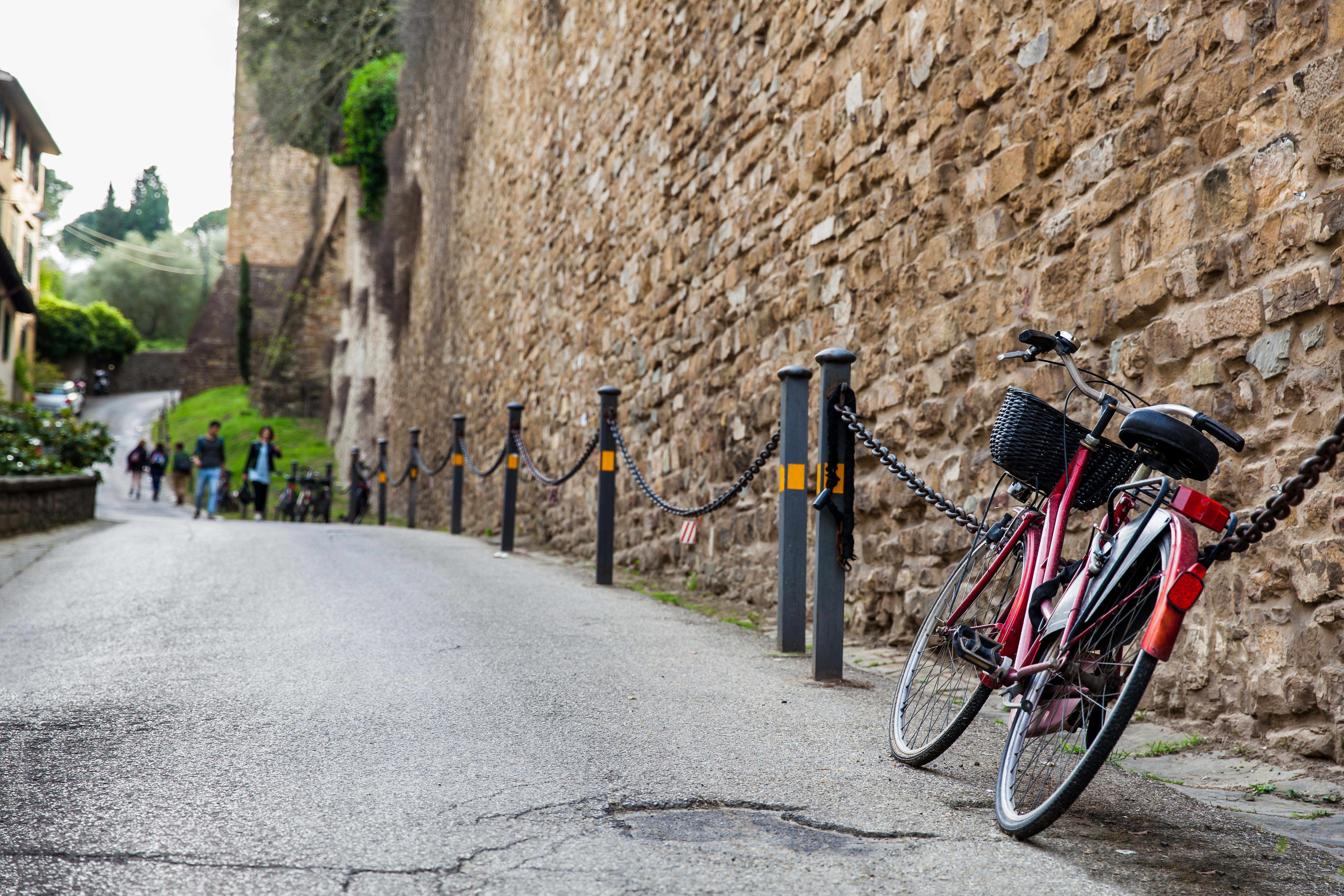 Italian city bans bikes after mayor hit by e-bike