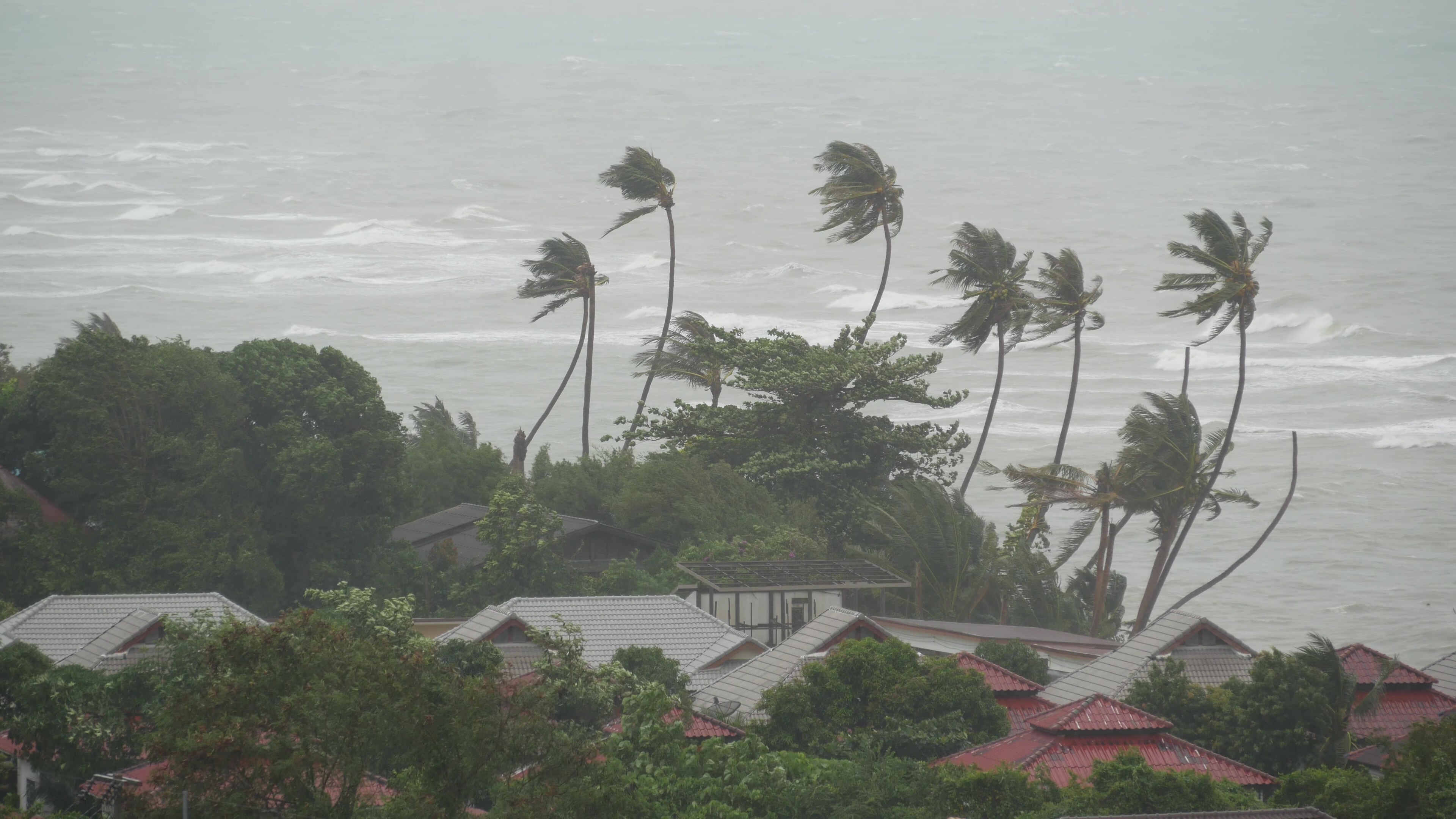 Typhoon Bavi made landfall in China forcing 1.7 million evacuations Saturday