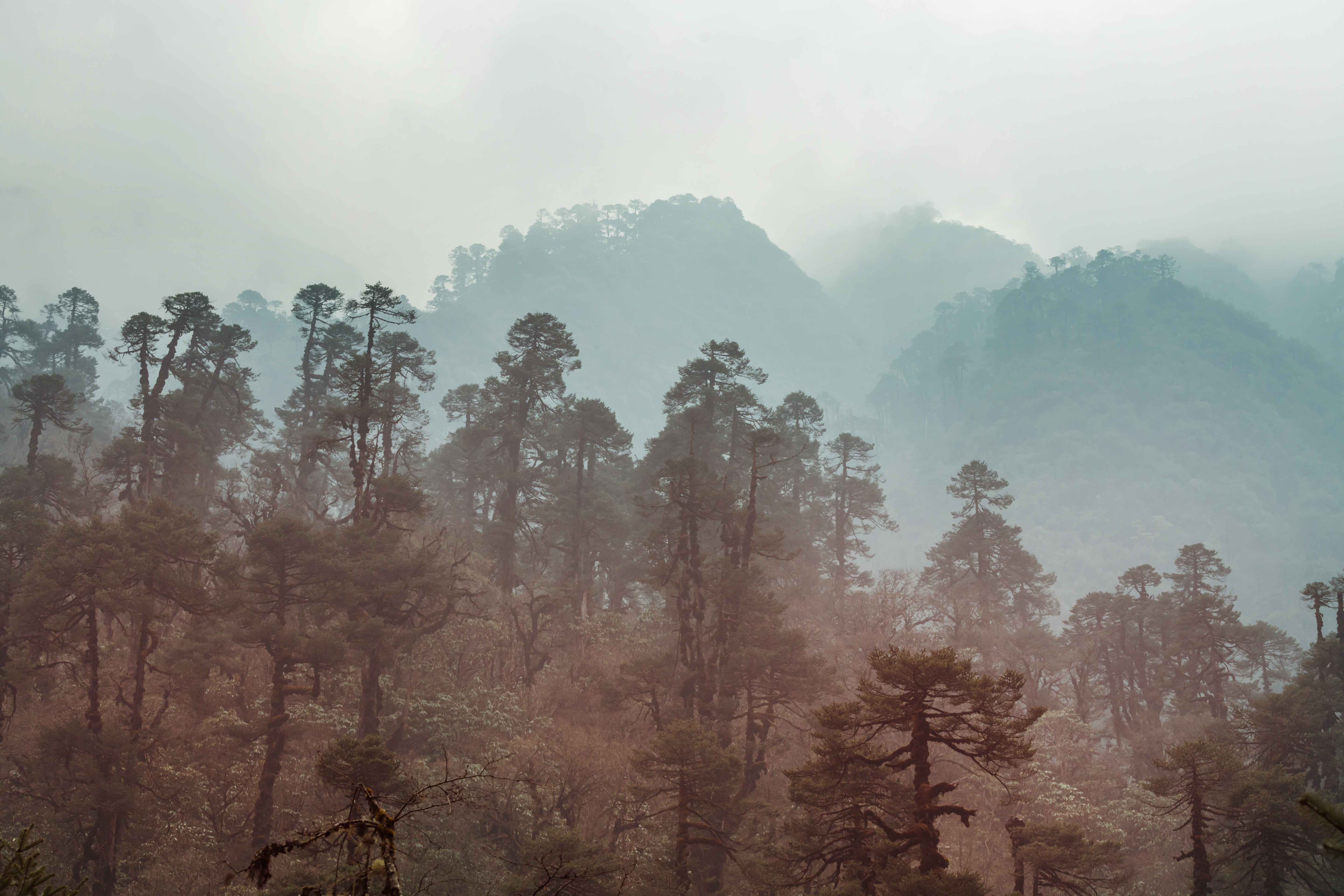 Indonesian wildfires' toxic haze now affects Malaysia and the Philippines