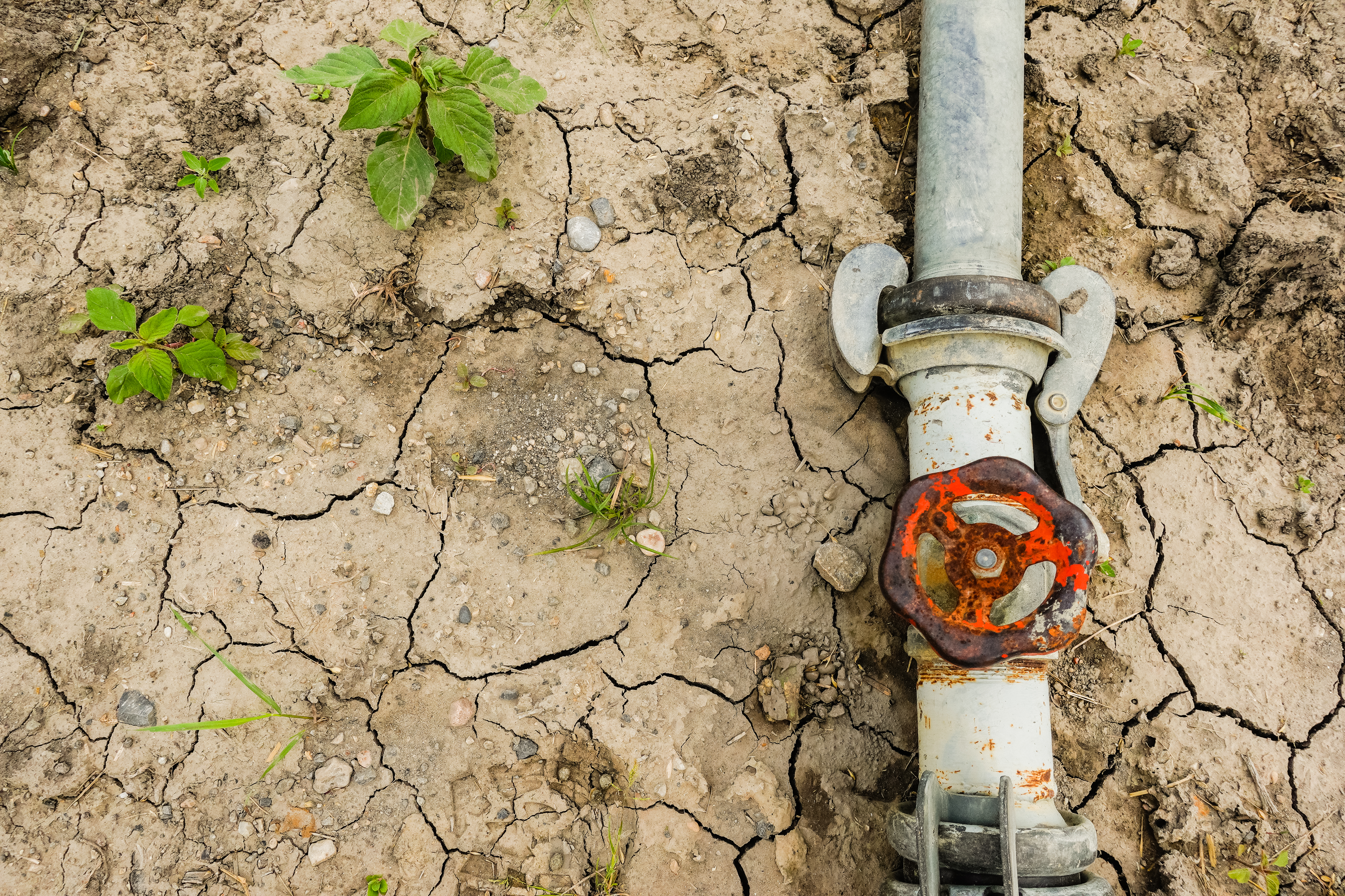 England expects five billion litre daily water shortfall by 2055