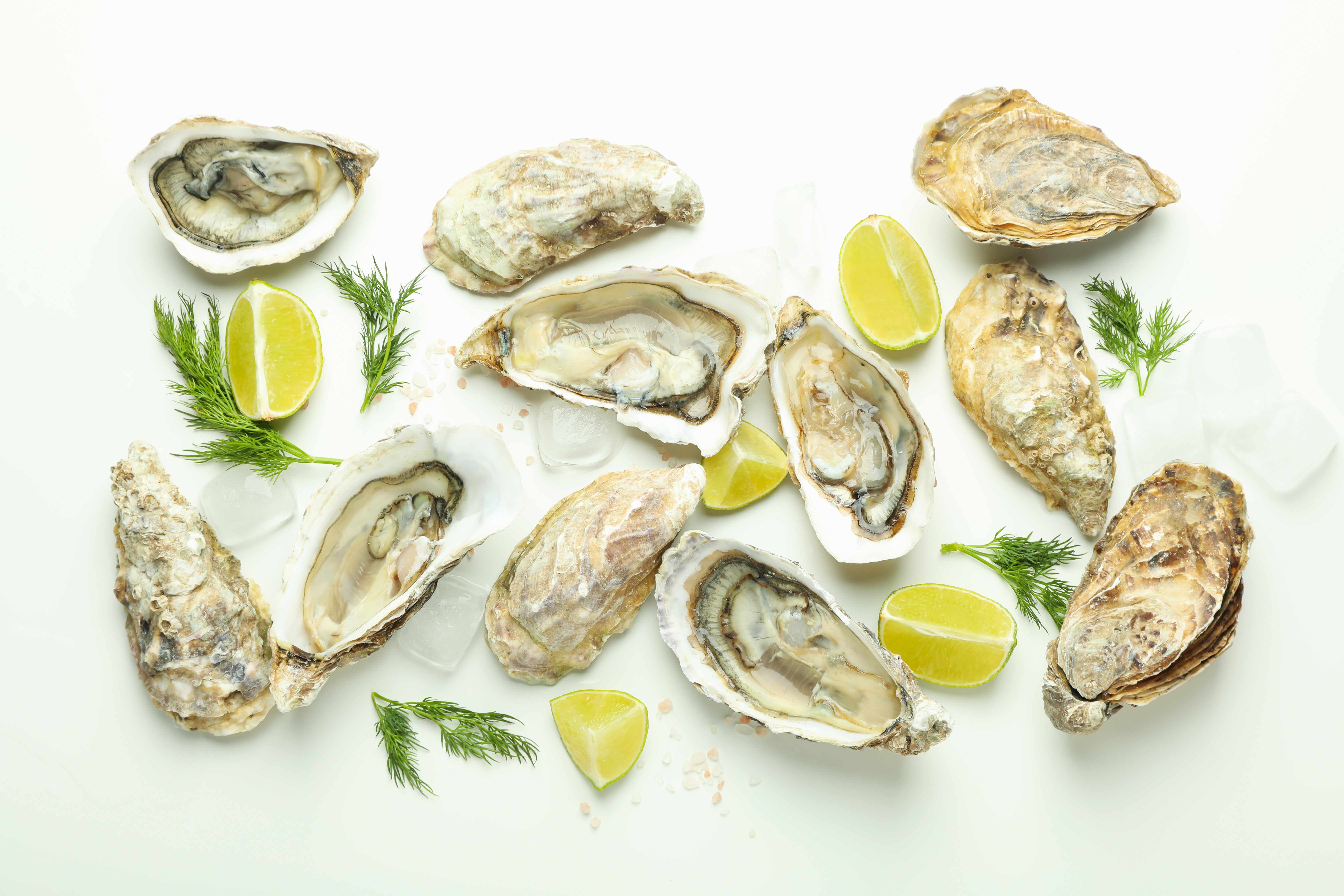Oysters are a superfood but too many can make you sick