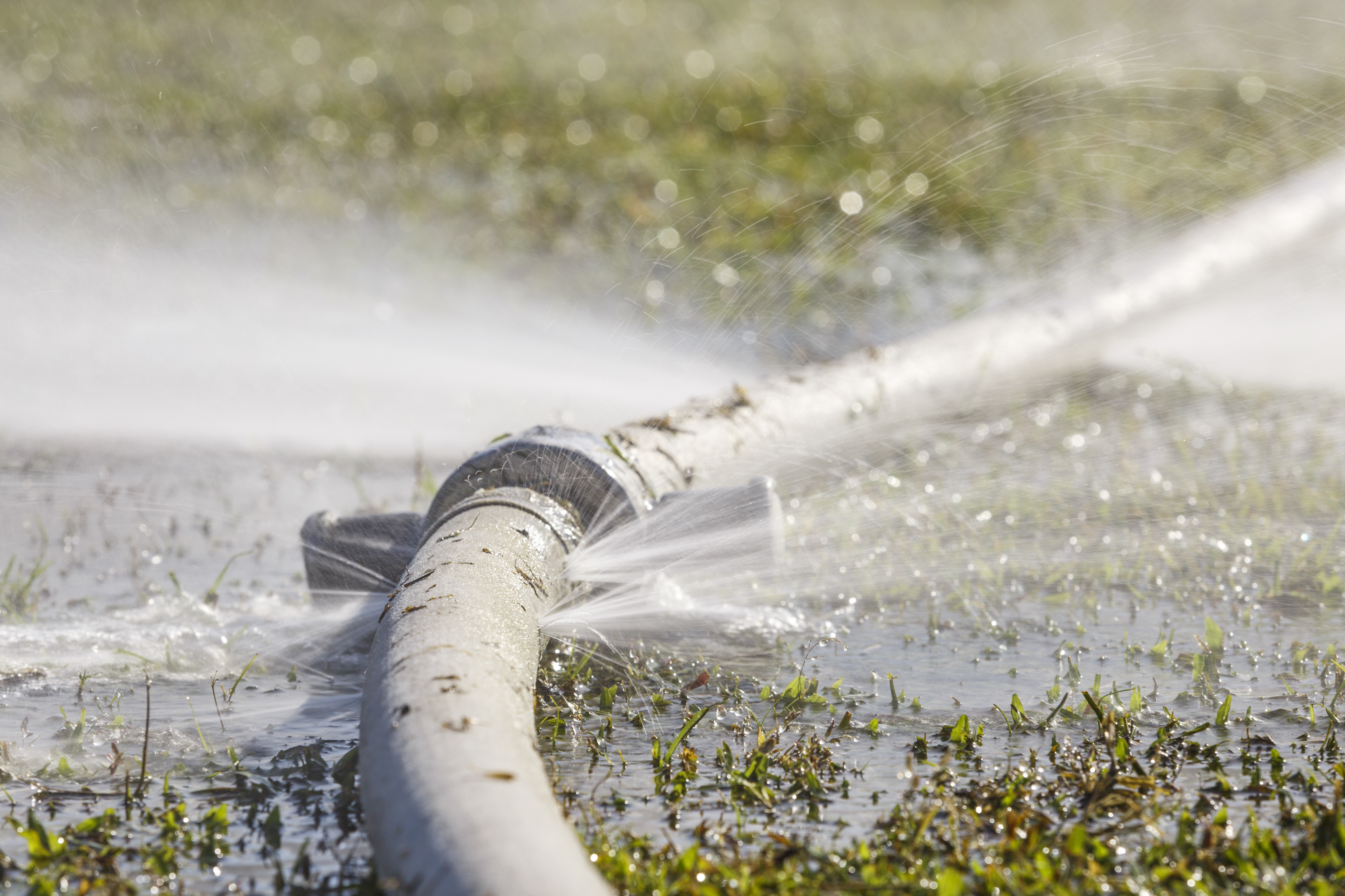 North Lincolnshire locals angered by hosepipe ban while water leaks flow