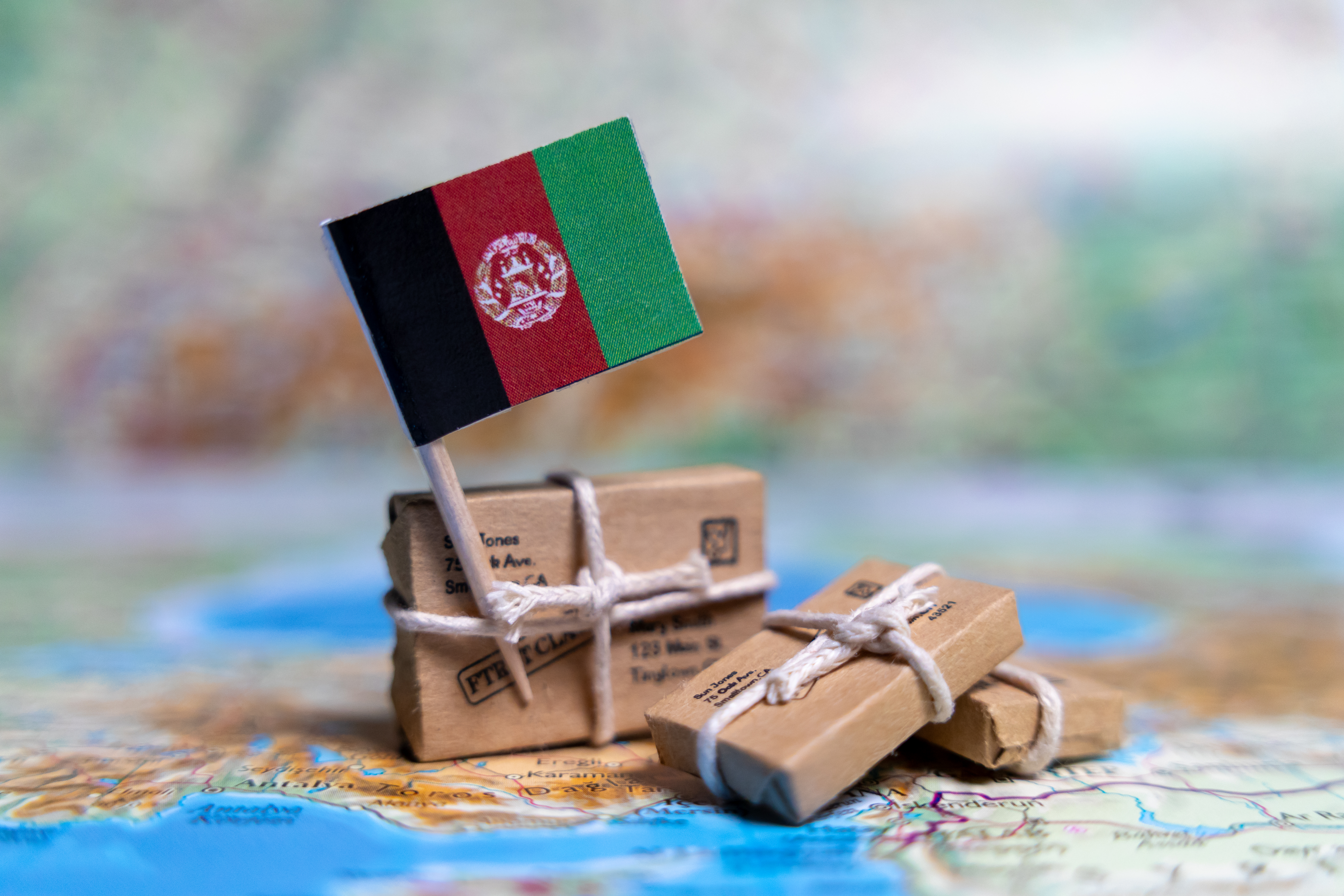 MoD data leak putting Afghan lives at risk was “foreseeable” failure