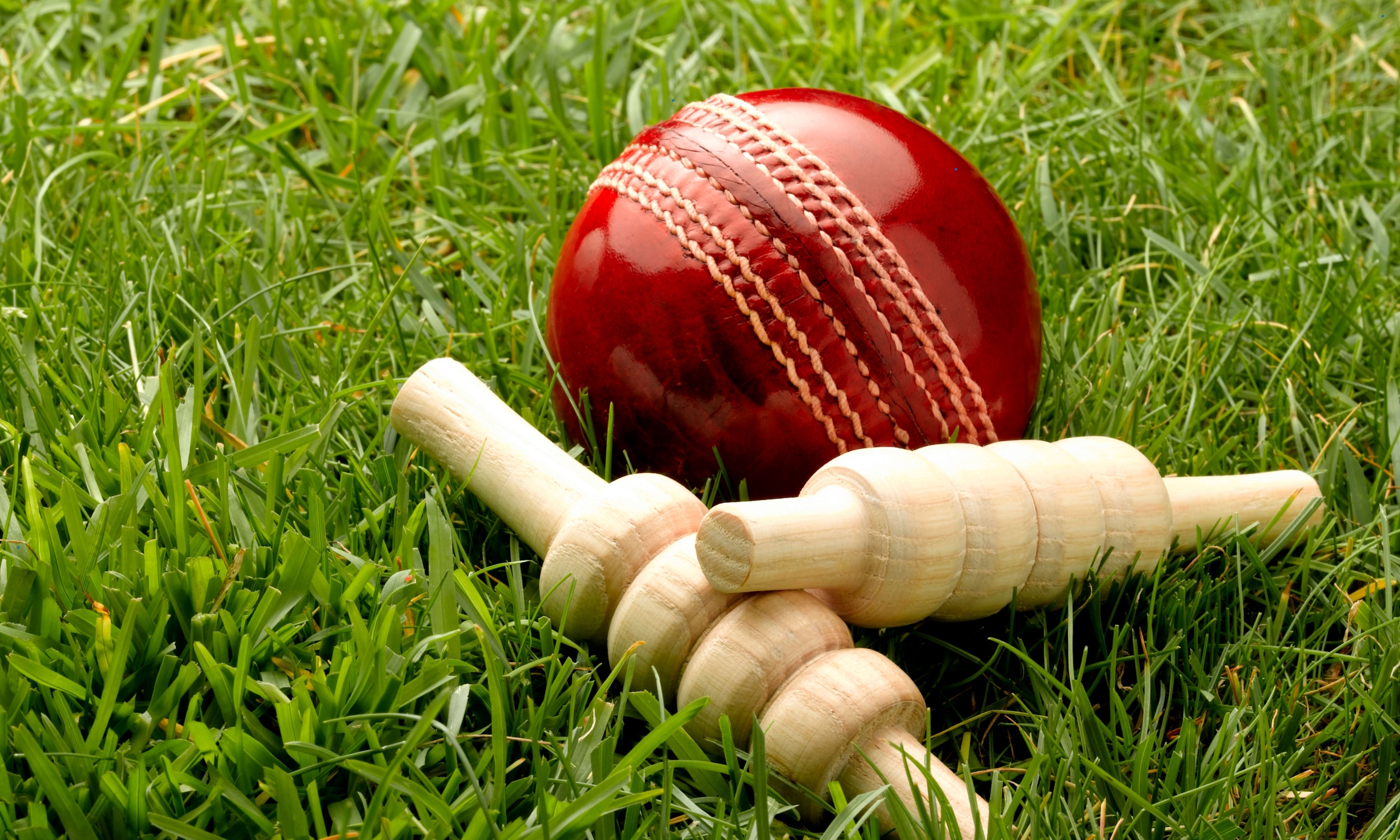 Cricket World Cup could shrink to 12 teams from 2027