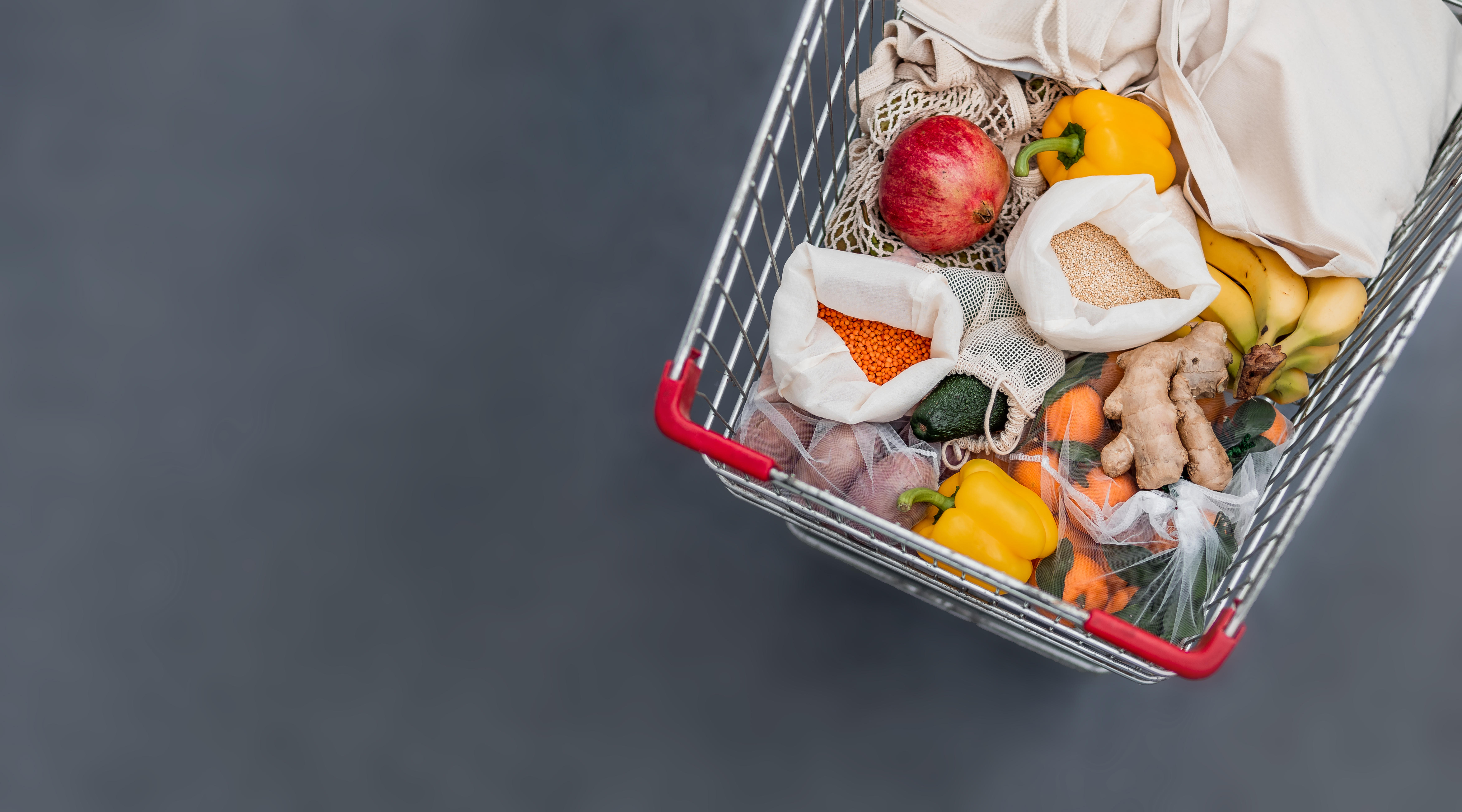 Petition for edible food waste ban open until August 11, 2026