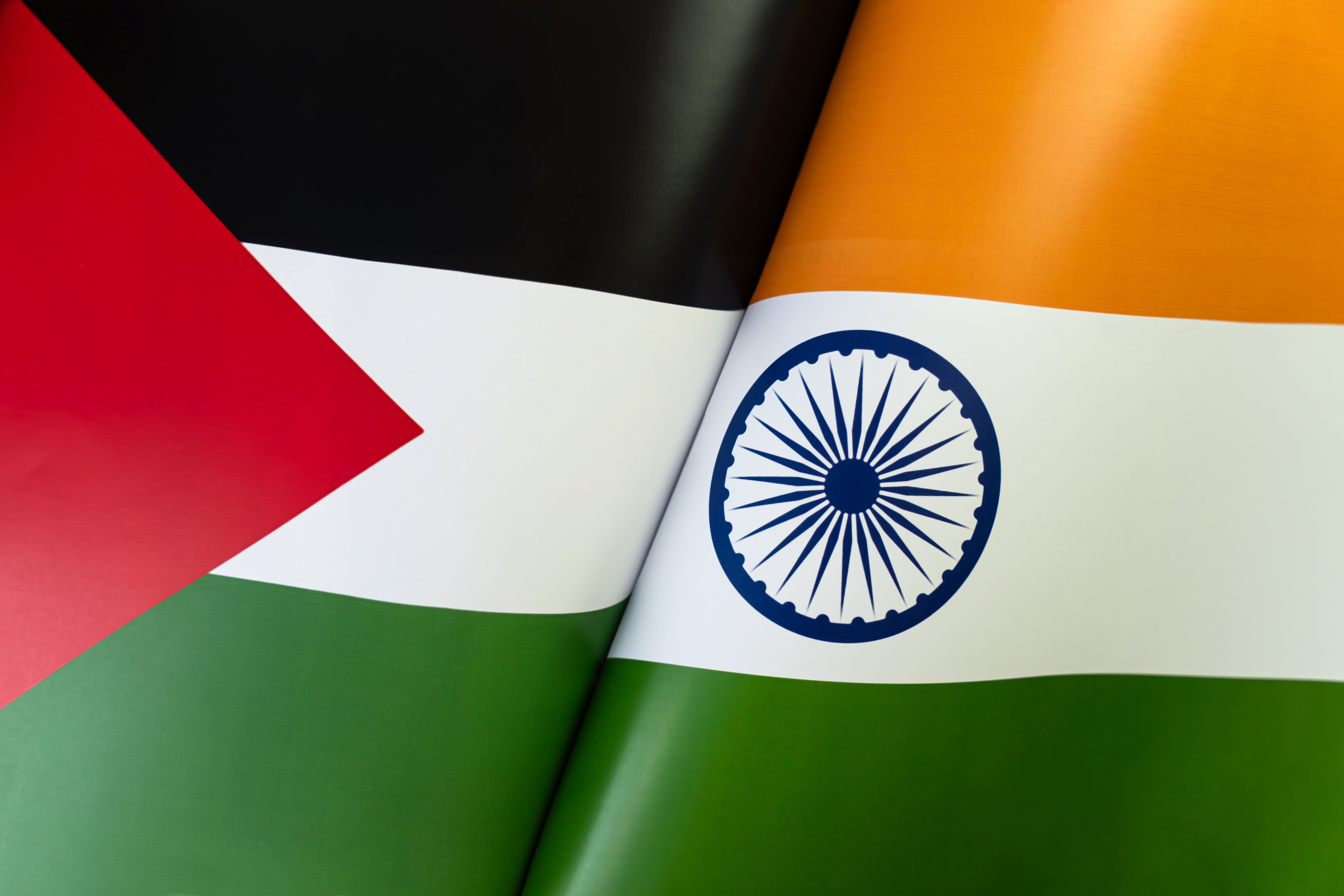 India expands humanitarian support for Palestine, signs MoU to establish 200-bed super-specialty hospital