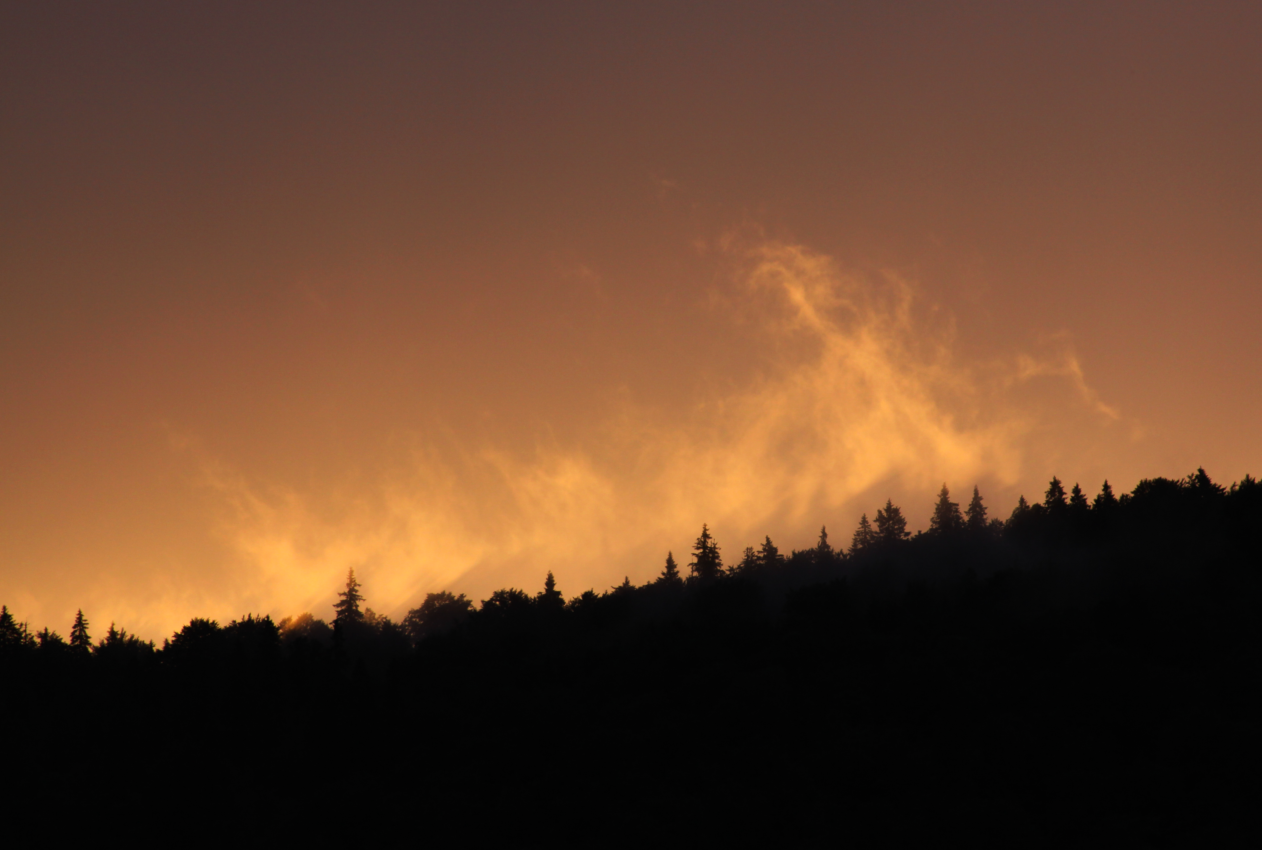 Nevada wildfire forces 90,000 Reno residents to leave their homes