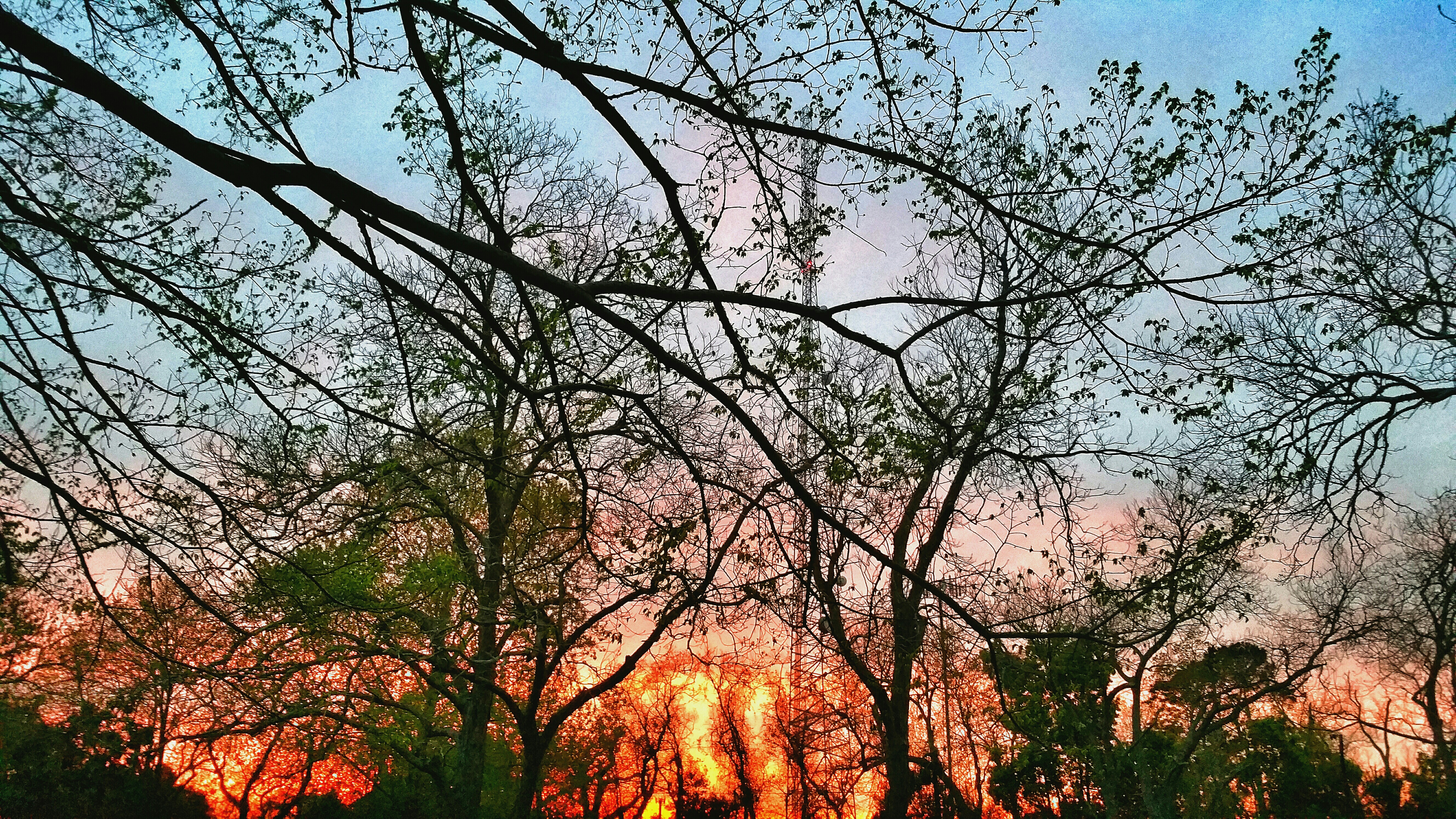 Barcelona wildfire burns 35 hectares, forces evacuations