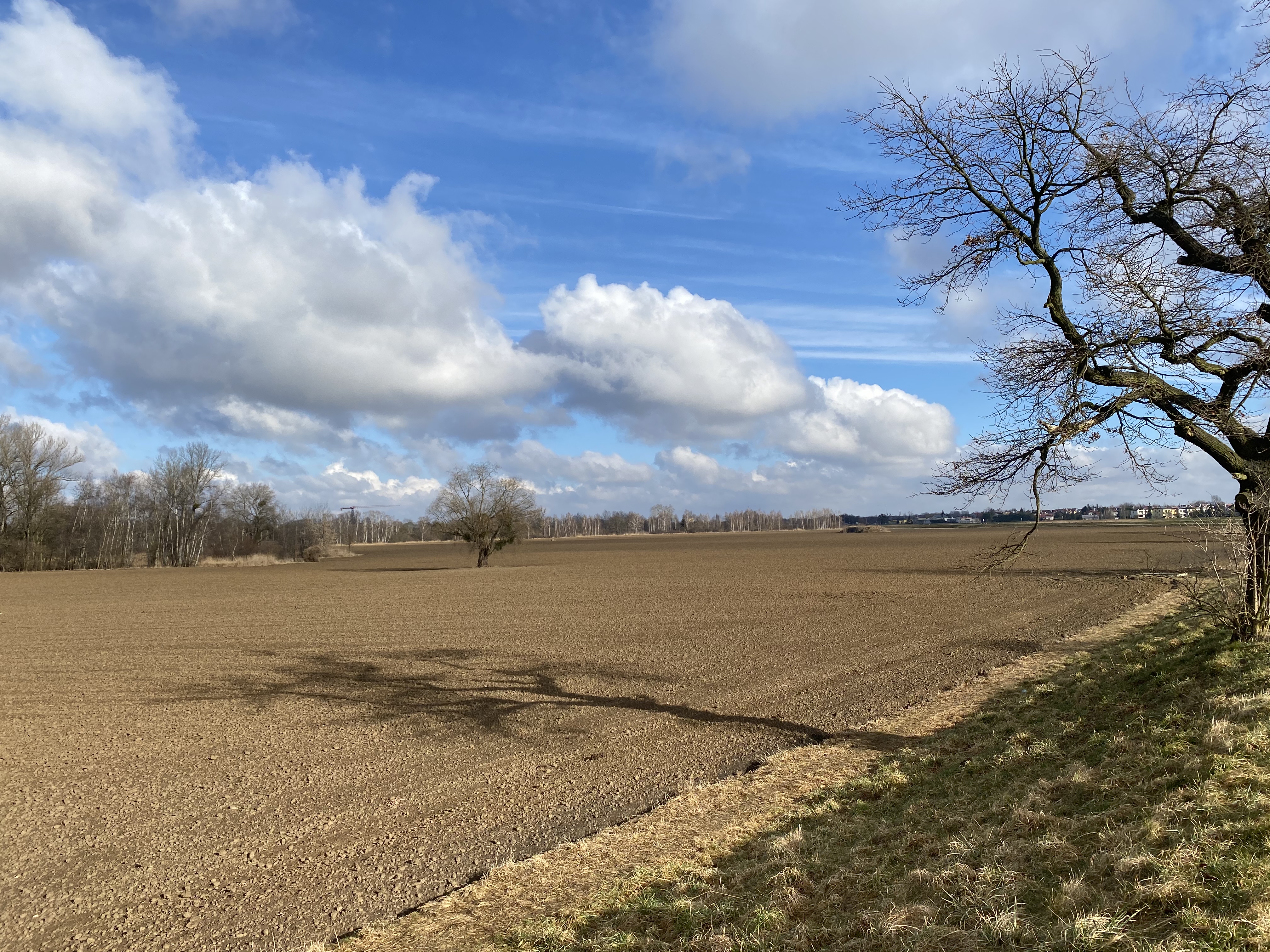 Cooler weather reaches parts of UK from Thursday but drought areas remain dry