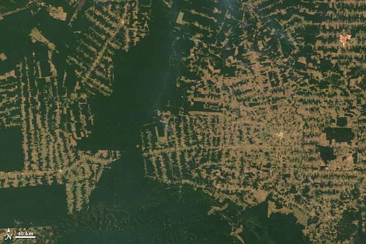 Deforestation in the state of Rondônia in western Brazil.