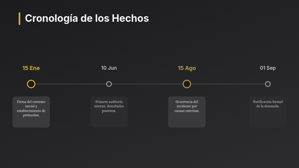 Estrategia de Litigio y Defensa Judicial