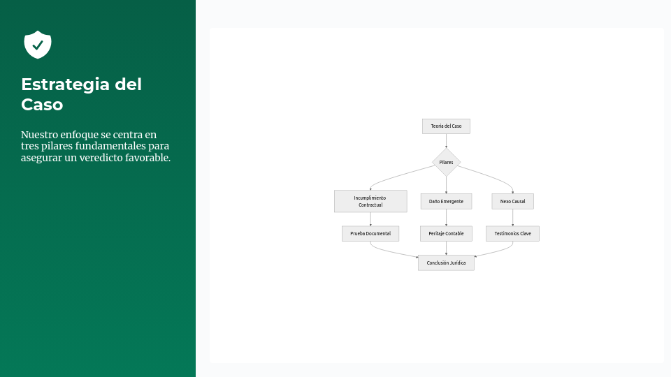 Estrategia de Defensa y Análisis de Litigio