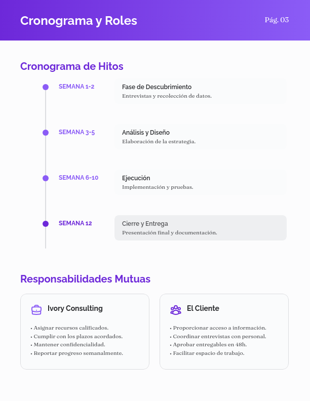 Servicios de Consultoría Estratégica y SOW