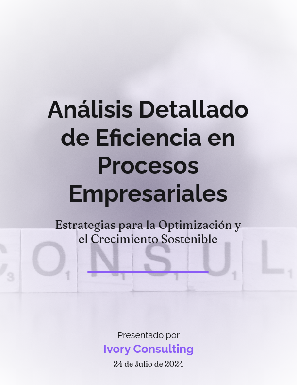 Estrategias de Optimización Operativa 2024