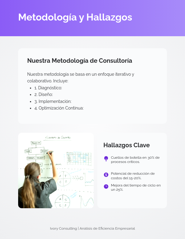 Estrategias de Optimización Operativa 2024