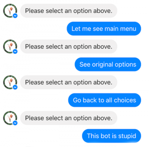 Screenshot of a chatbot interaction