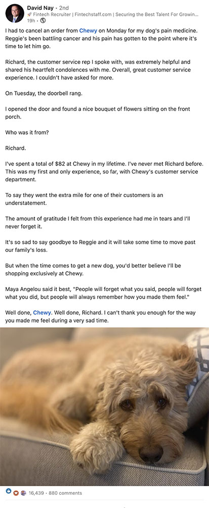 screenshot of an example of empathy review of Chewy, on LinkedIn