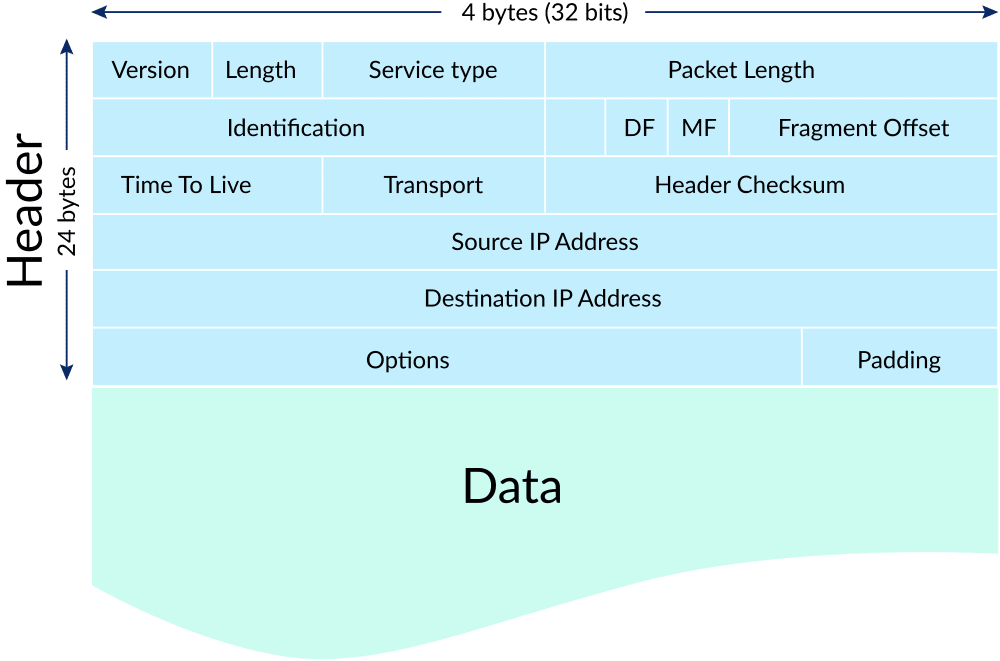 Diagram of an IP Data Packet