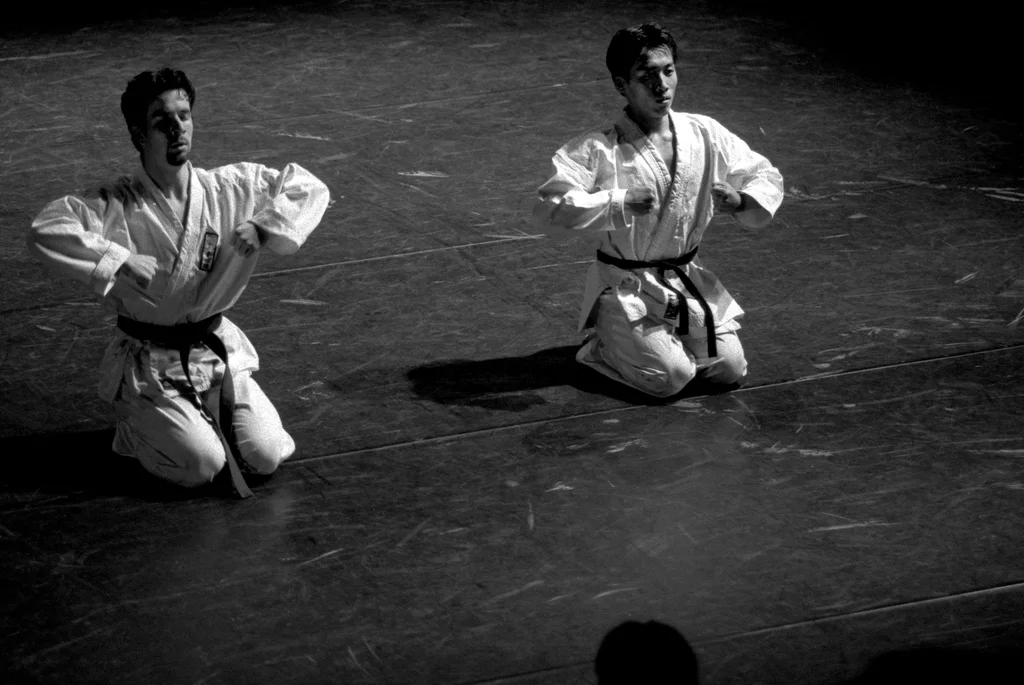 Linked image (Benefiet_Theatergroep Artisjok Nultwintig_Spelers_11