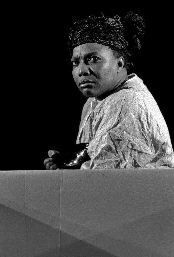 Linked image (The one-sided wall_De Nieuw Amsterdam_Rufus Collins_5