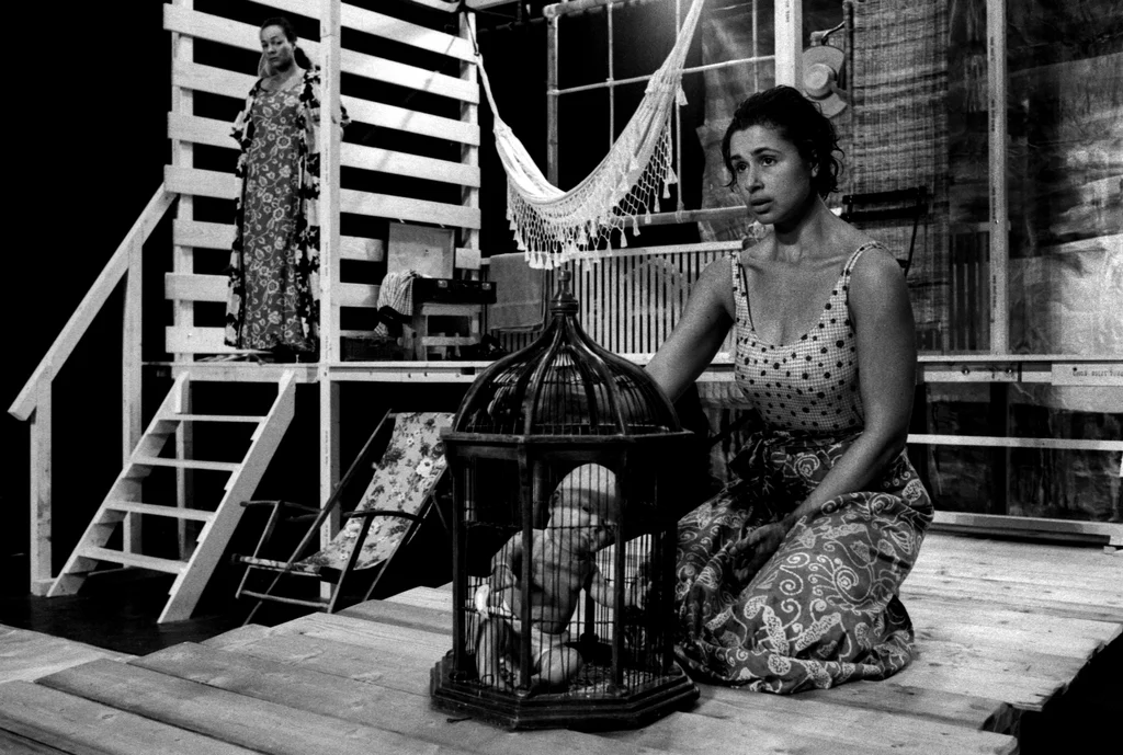 Linked image (Zeg de zee vaarwel_De Nieuw Amsterdam_Felix de Rooy_5