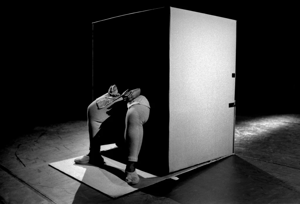 Linked image (The one-sided wall_De Nieuw Amsterdam_Rufus Collins_3