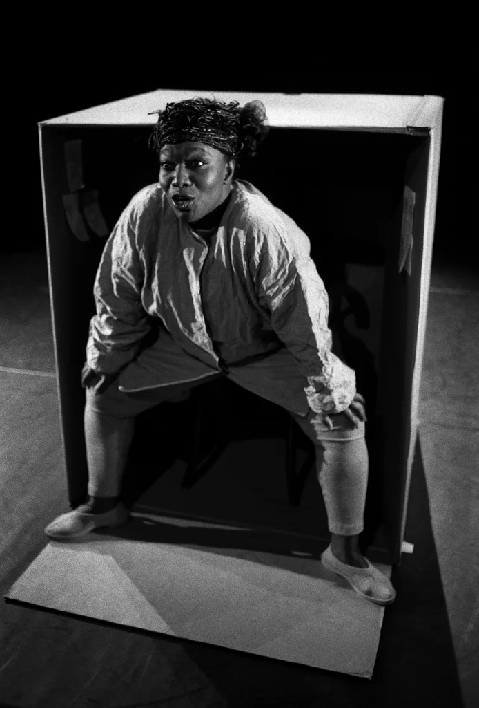 Linked image (The one-sided wall_De Nieuw Amsterdam_Rufus Collins_8