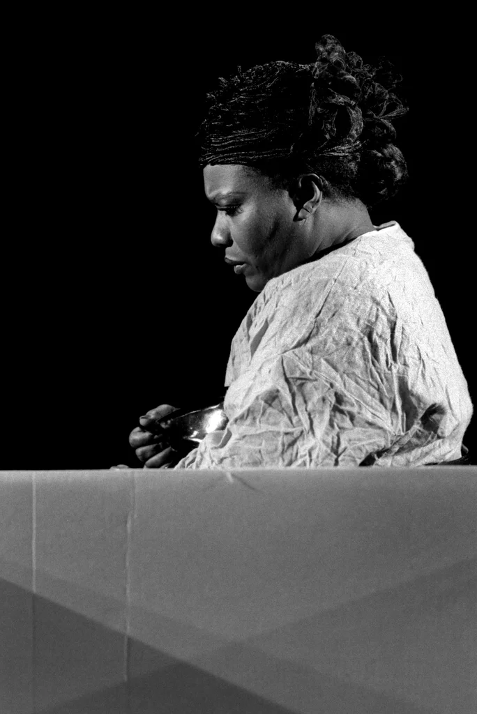 Linked image (The one-sided wall_De Nieuw Amsterdam_Rufus Collins_6