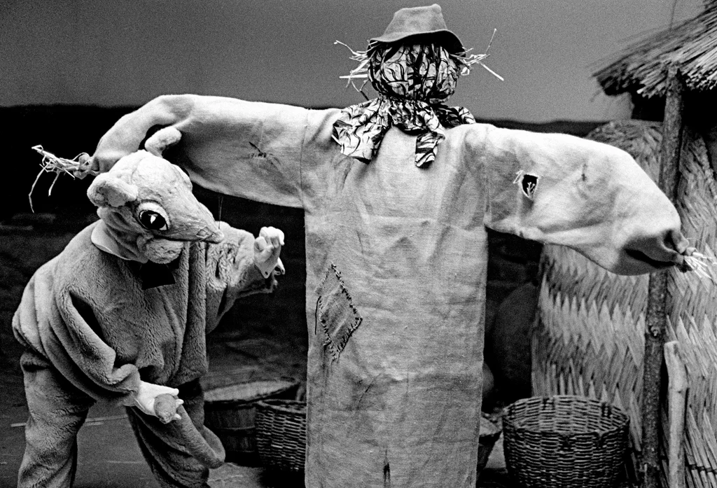 Linked image (Afrikaanse spinsels_Theatergroep Pruim_Hassan Gnaoui9