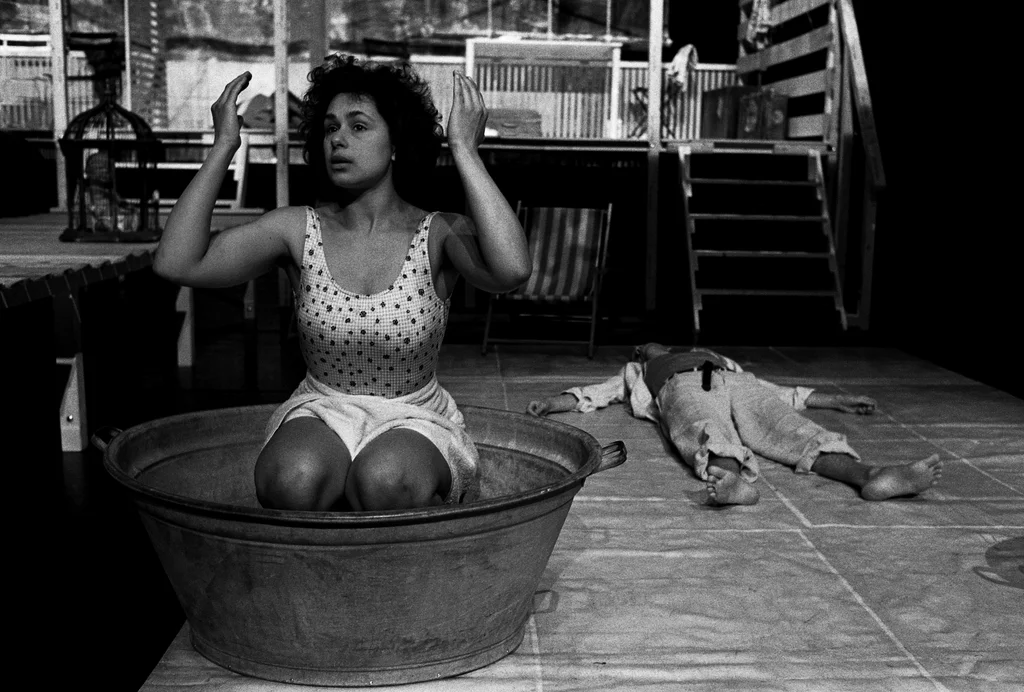 Linked image (Zeg de zee vaarwel_De Nieuw Amsterdam_Felix de Rooy_7