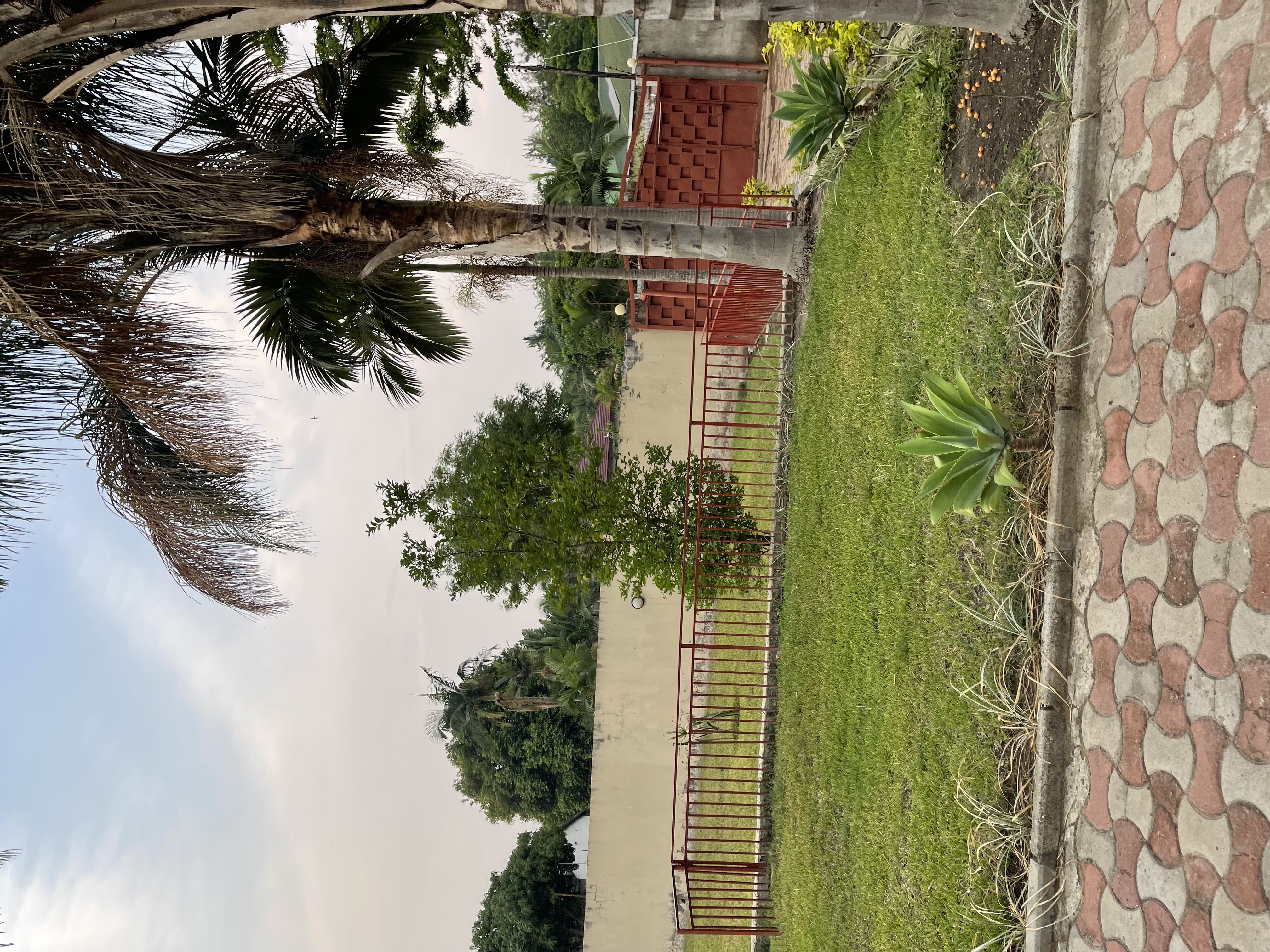 MADAM MTONGA — photo 7