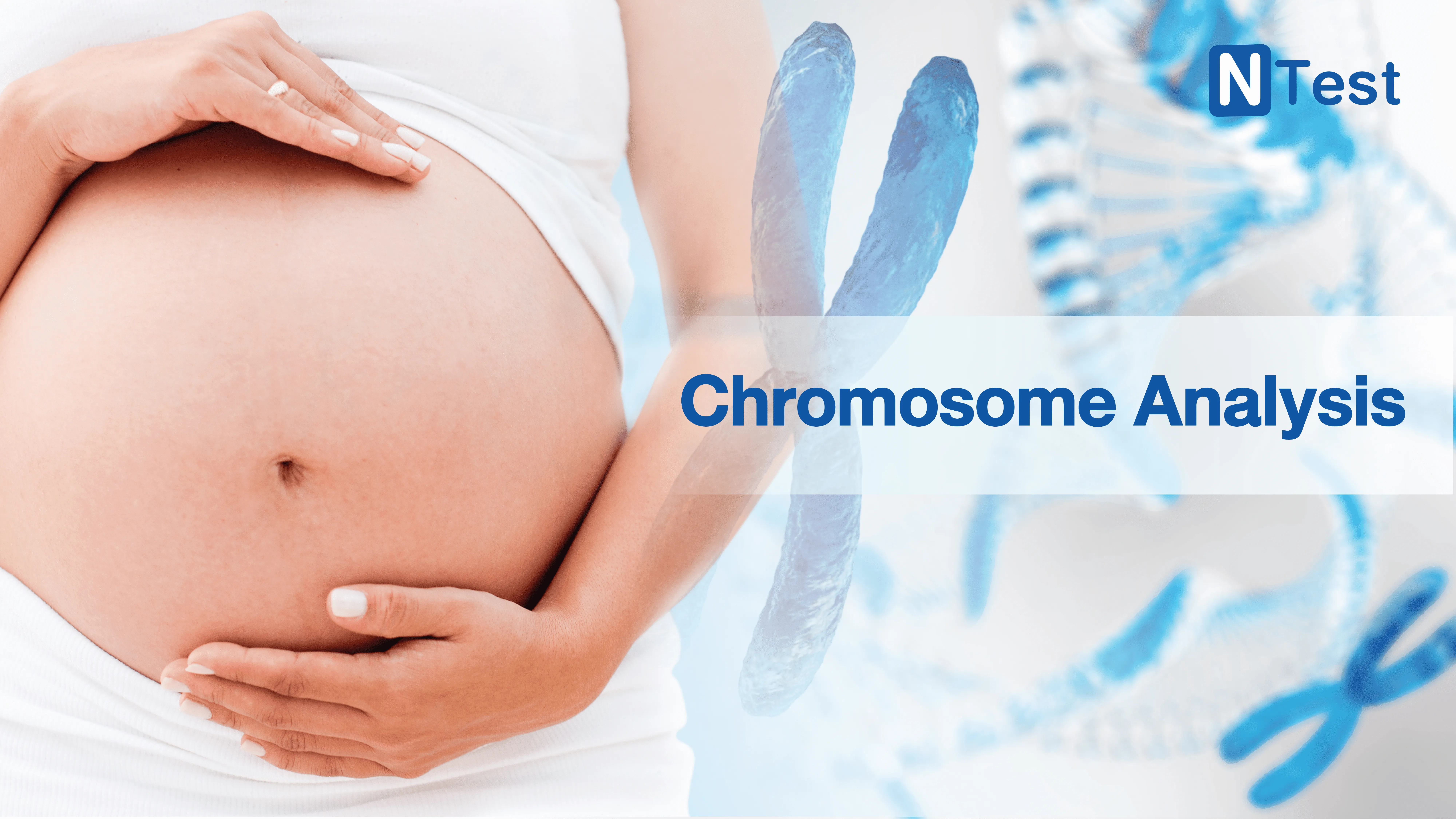Chromosome Analysis 02 01.webp