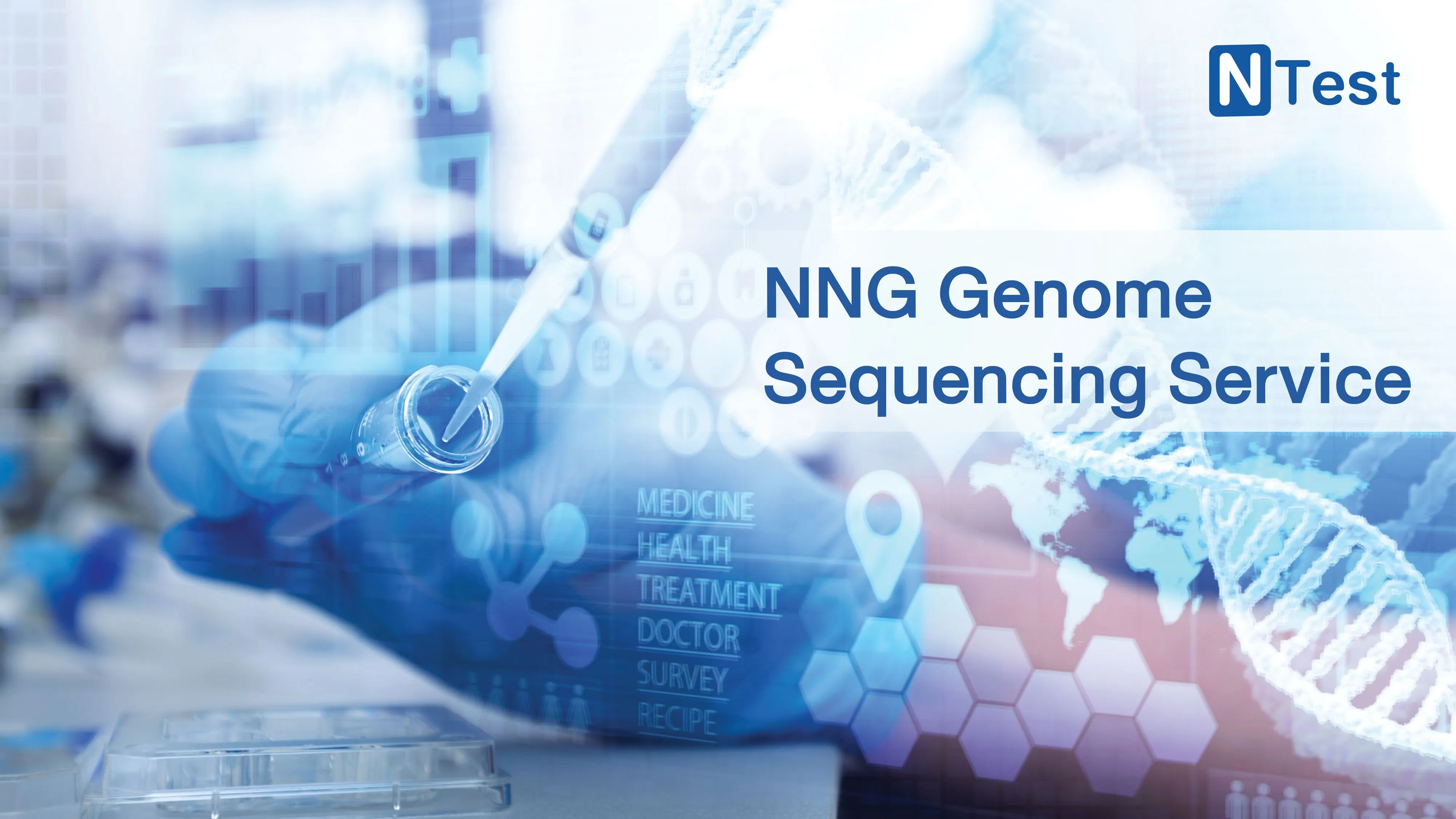 nng_gemonic_service.webp